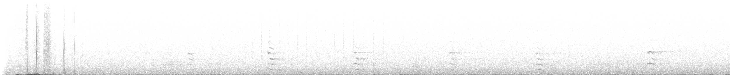 Kopetazuri arrunta - ML616152965