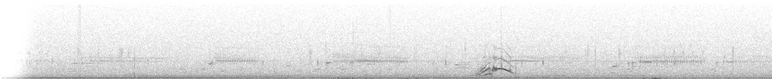 knoppsvane - ML616155527