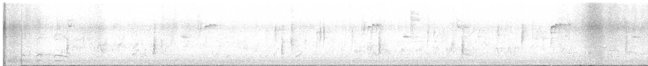 kaliforniavaktel - ML616160637