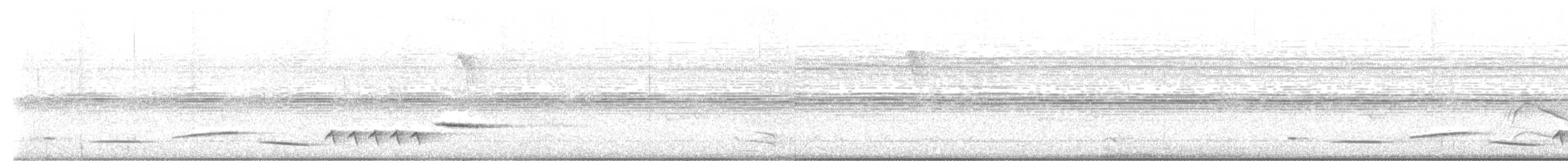 Поплітник антіоквіанський - ML616161984