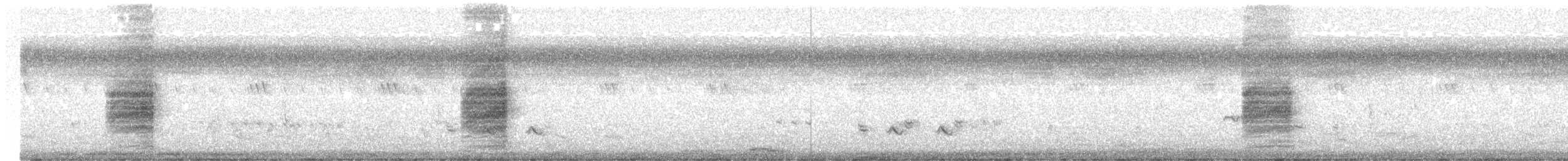 Long-tailed Shrike - ML616162300
