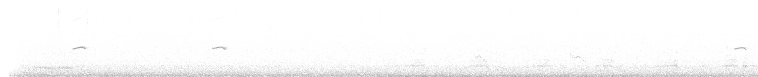 Common Chiffchaff (Siberian) - ML616162825