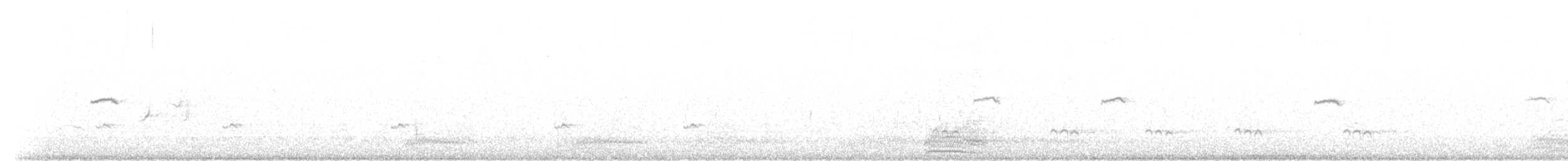 Common Chiffchaff (Siberian) - ML616162836