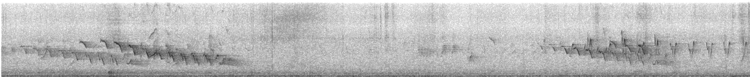 Зяблик гран-канарський - ML616167268