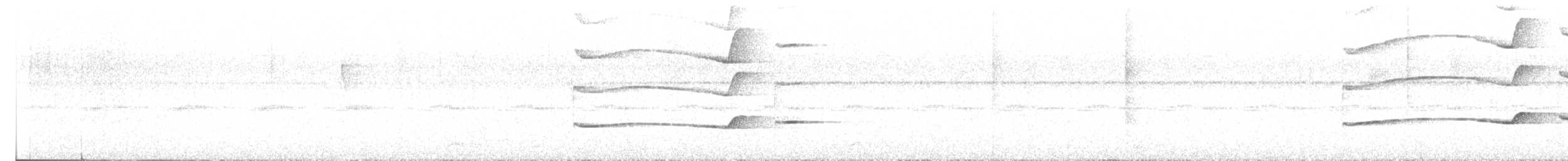 キタツグミマイコドリ - ML616167403