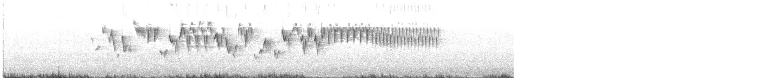 Pacific Wren - ML616167573