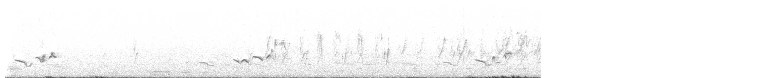 gråflanketrosteskvett - ML616167959