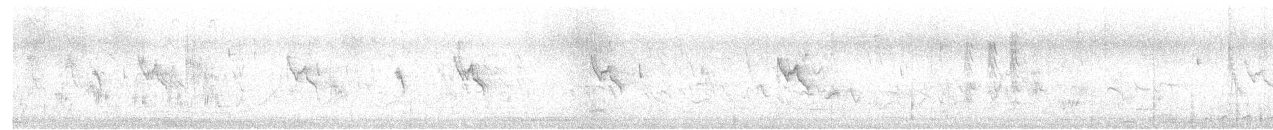 斑文鳥 - ML616168032
