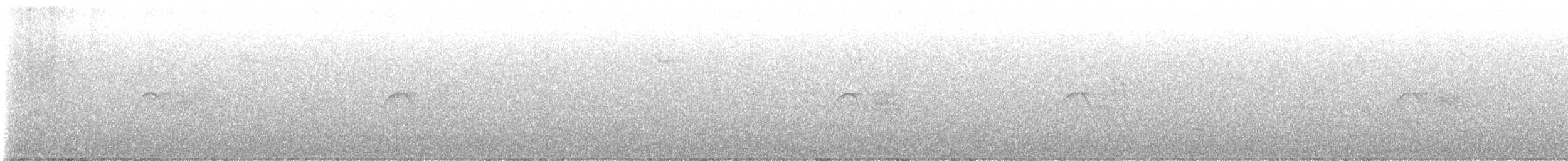 Светлобрюхий фиби - ML616170529