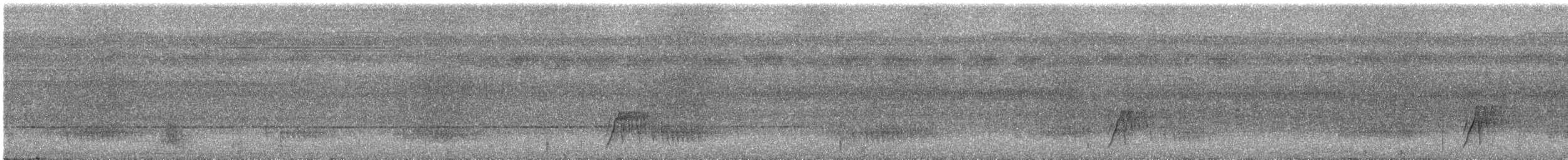 Серогрудый гусеницеед - ML616170796