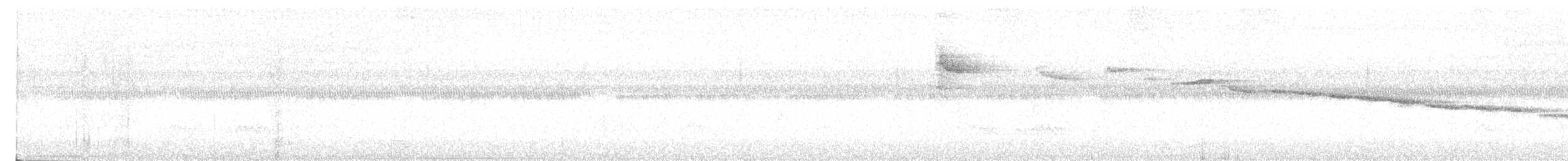 White-browed Warbler - ML616170999