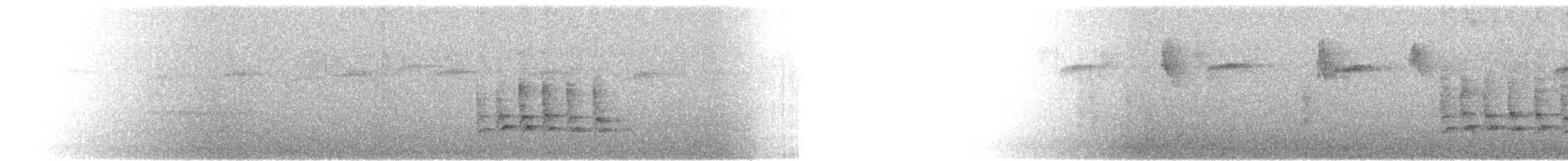 Madeira Chaffinch - ML616172804