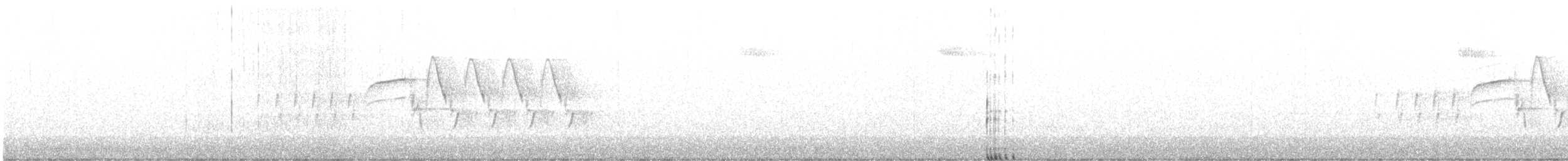 Bewick Çıtkuşu - ML616173205
