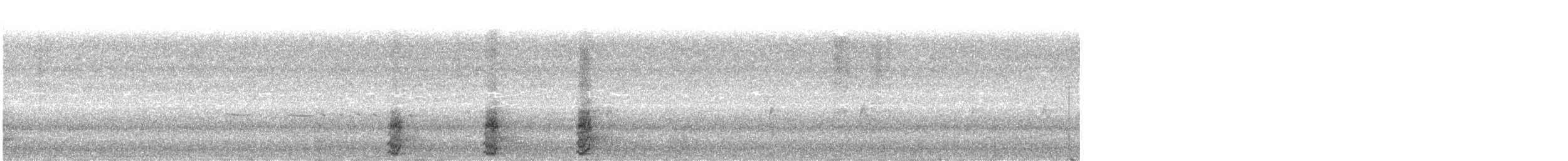 Sarcelle d'hiver - ML616173767