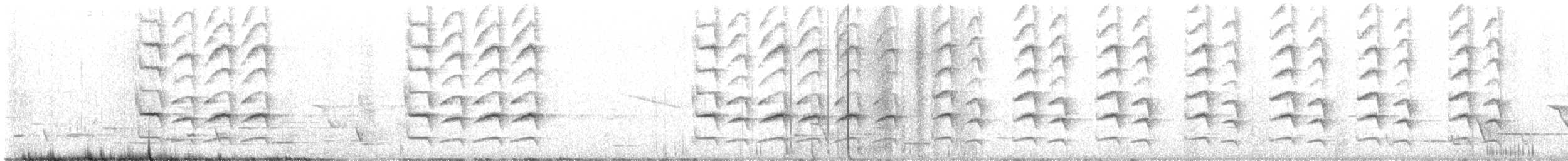 South Island Saddleback - ML616174276