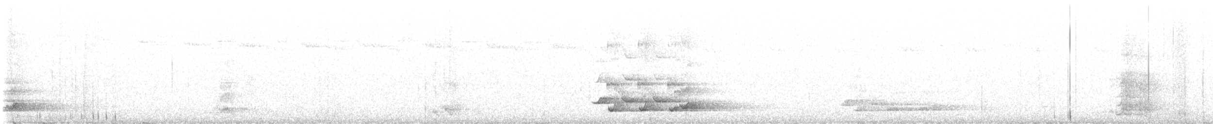 New Zealand Kaka - ML616174600