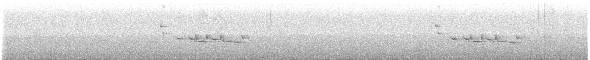 Tomtit - ML616174787