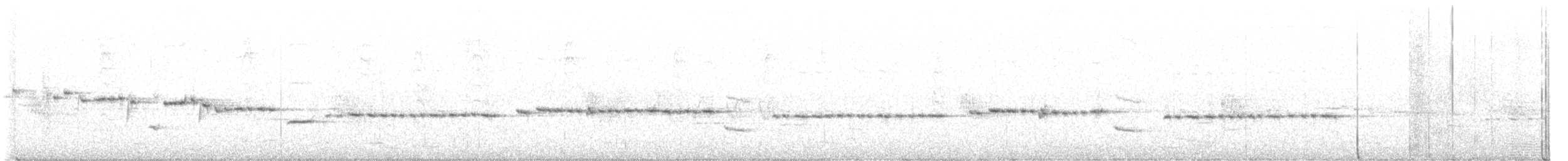 Gray Gerygone - ML616175374