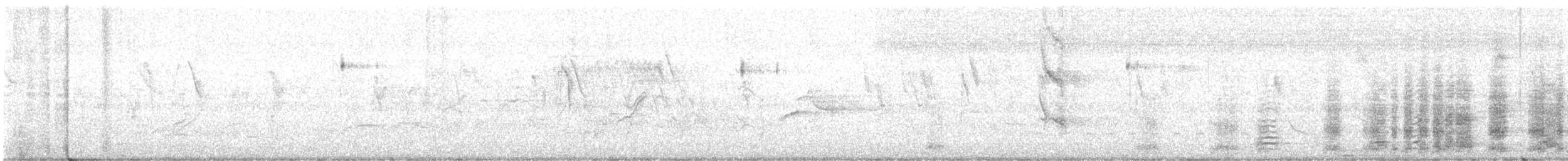 Band-tailed Guan - ML616176403