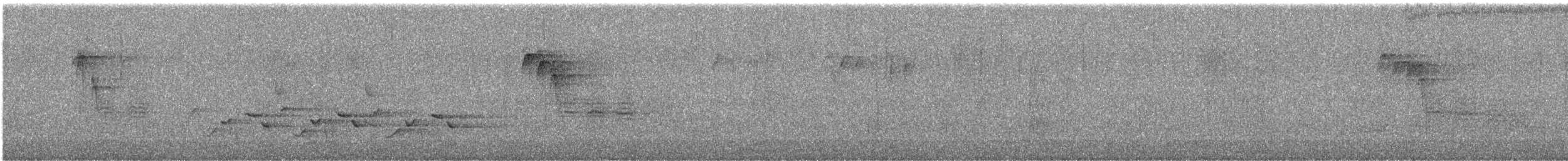 Поплітник каролінський - ML616177022