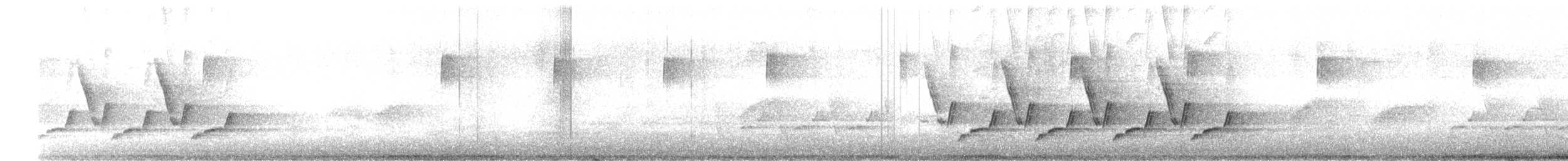 Поплітник каролінський - ML616177030