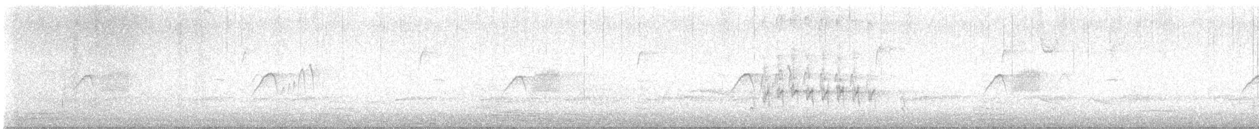 Светлобрюхий фиби - ML616177371