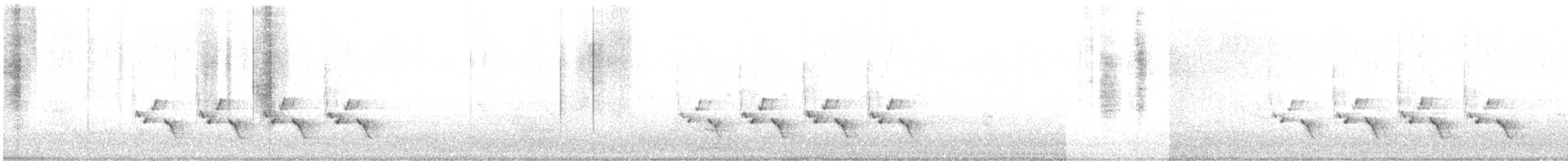 Поплітник каролінський - ML616179022