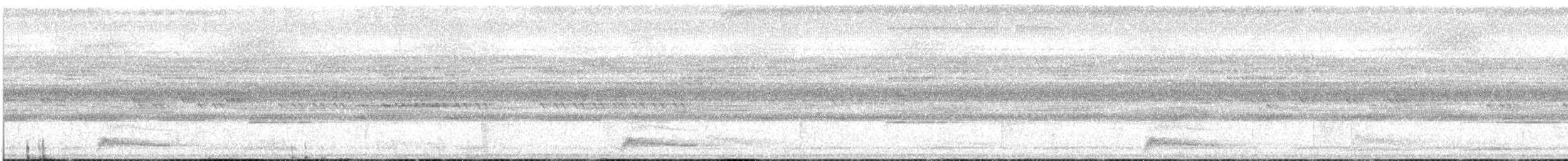 Augennachtschwalbe - ML616179700