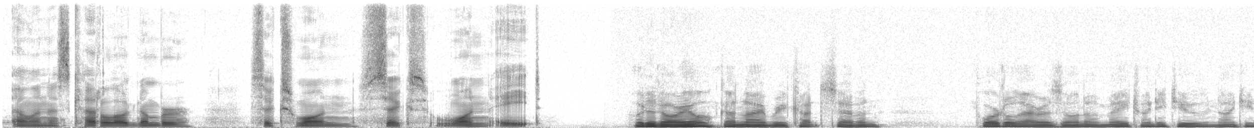 Hooded Oriole (nelsoni Group) - ML61618