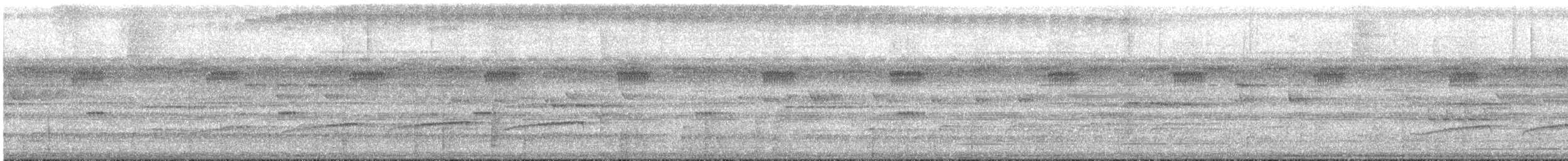 Мурав’янка-куцохвіст велика - ML616180023