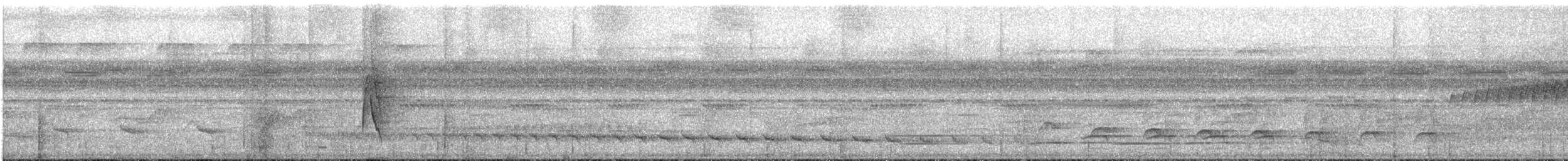 Weißflanken-Ameisenschlüpfer - ML616180349