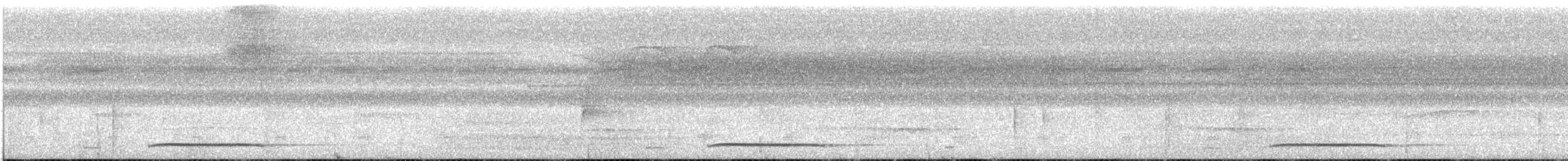 holub safírový - ML616180377