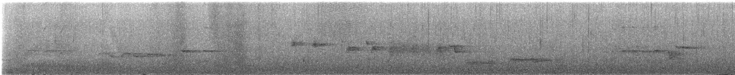 Mirlo Acuático Norteamericano - ML616180497