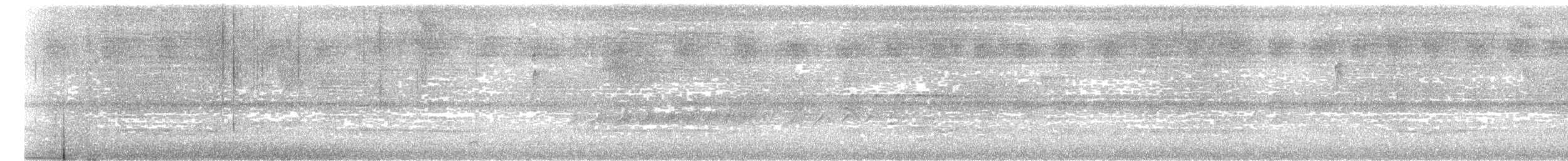 Weißkehl-Ameisenvogel - ML616182835
