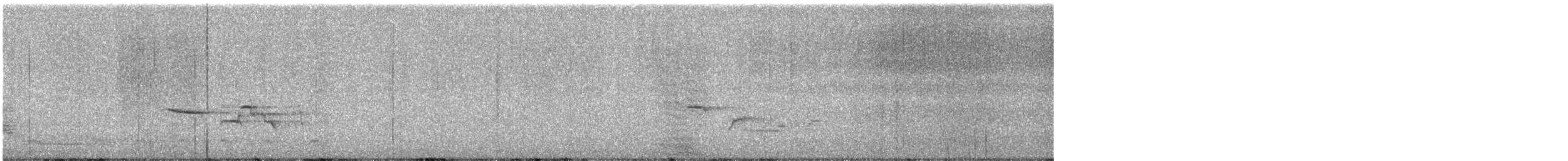 Дрізд-короткодзьоб плямистоволий - ML616183761