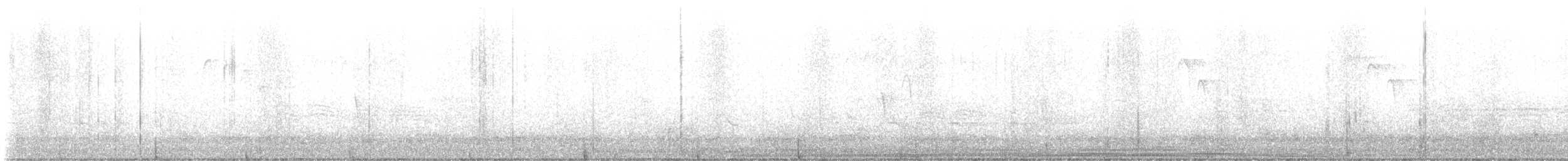 Светлобрюхий фиби - ML616185892
