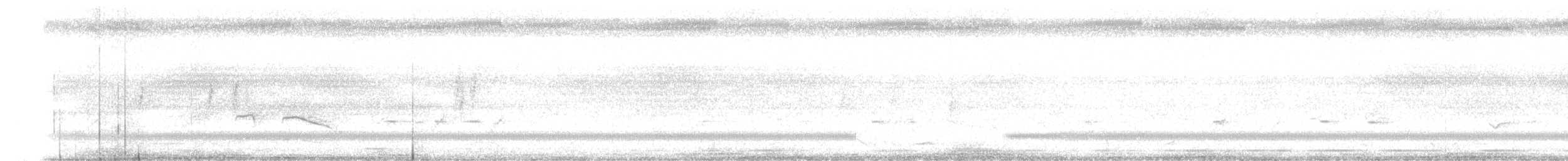 křepelka čínská - ML616187620