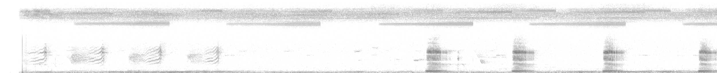 Râle à poitrine grise - ML616187661