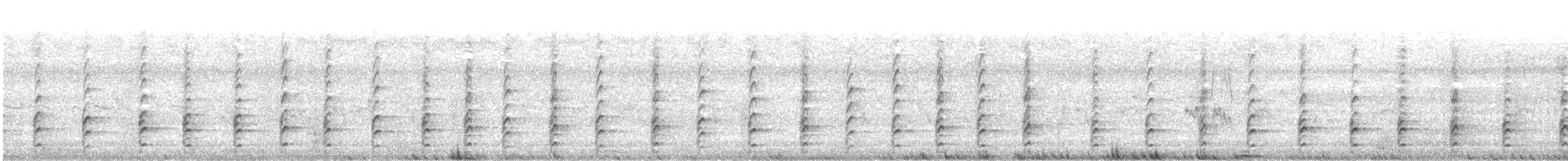 Schwarznacken-Stelzenläufer - ML616188396