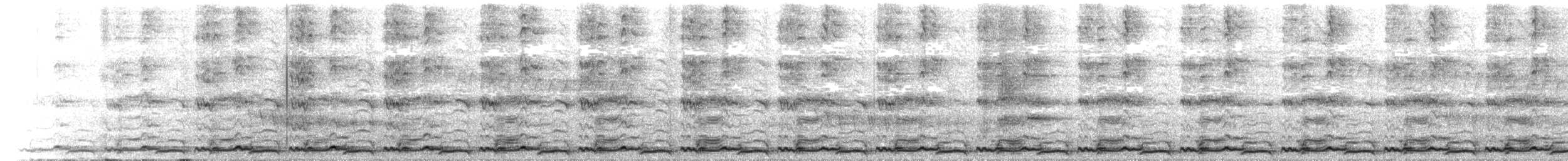 křepel mramorovaný - ML616188912