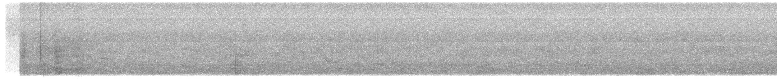 Conirostre géant - ML616190757