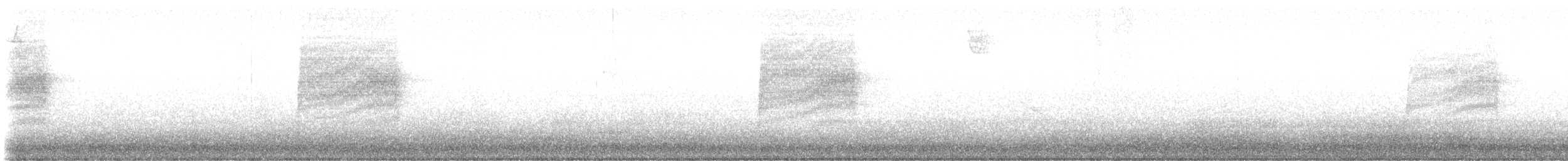 Troglodyte de Bewick - ML616193700