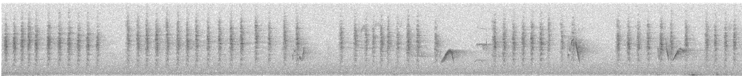Віреон коста-риканський - ML616193913