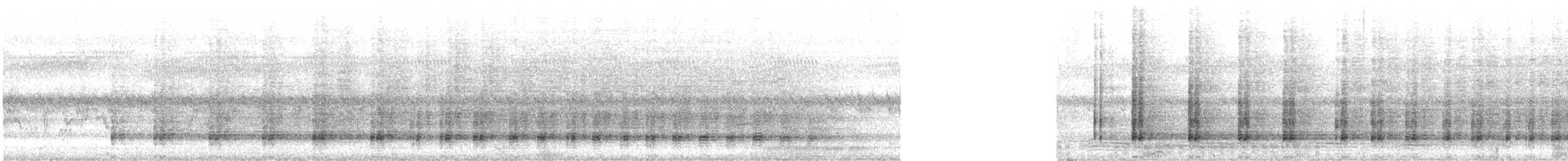 Austral-Schlangenhalsvogel - ML616194280