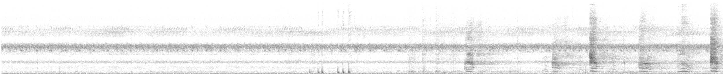 Plumed Egret - ML616194312