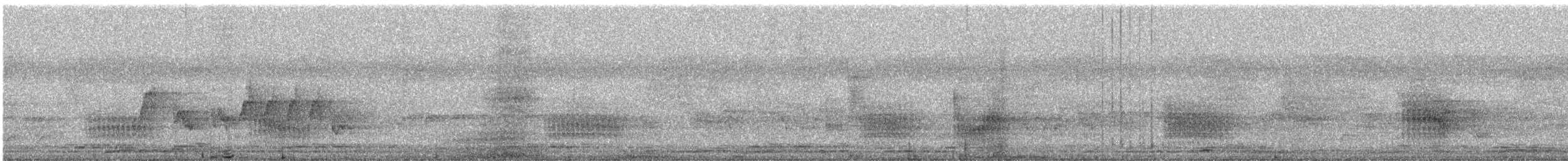 Weißbrauen-Raupenfänger - ML616194939