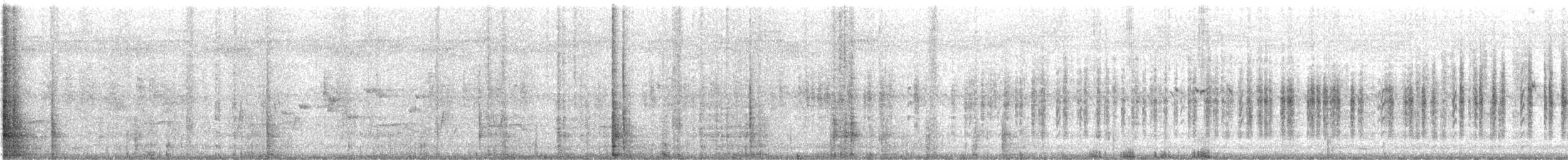 Чёрно-белая веерохвостка - ML616195537