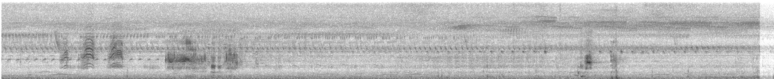 husice bělohlavá - ML616195553