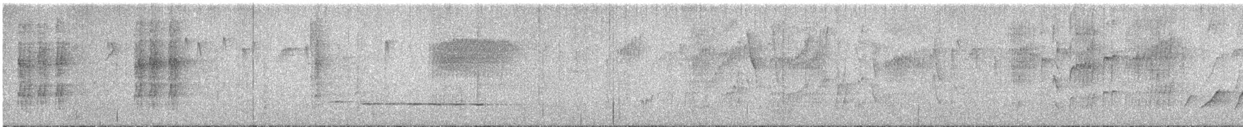 White-eared Sibia - ML616196756