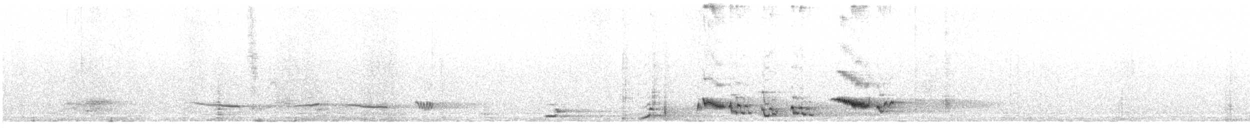 Shama à croupion blanc (groupe malabaricus) - ML616197160
